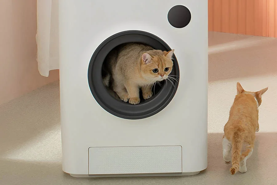 best automatic kitty litter box